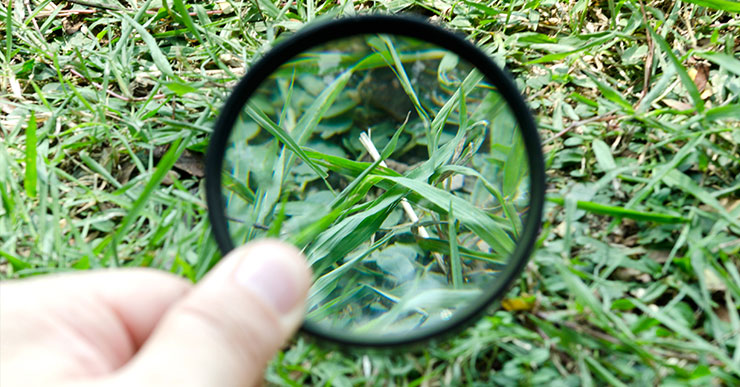 Consultation & Analysis