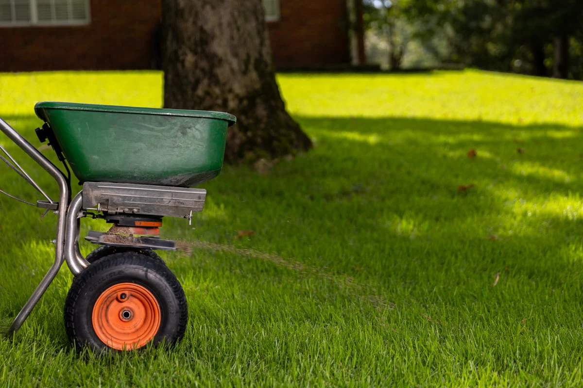 Professional applying granular fertilizer evenly across a lawn